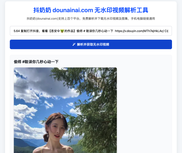 抖奶奶：2025 可用多平台无水印下载，抖音 TikTok 视频图片工具