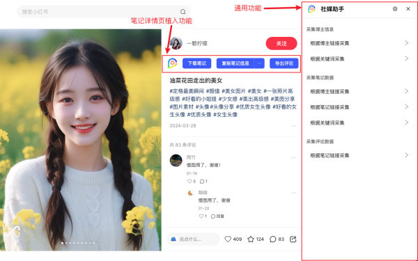 社媒助手 小红书抖音等视频与图片无水印一键解析下载  浏览器插件