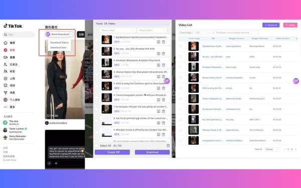 智Tool-支持从抖音、小红书、TikTok、等平台下载视频  浏览器插件
