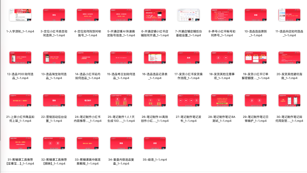 小红书店铺运营0到1轻松盈利视频教程，掌握小红书店铺运营技巧
