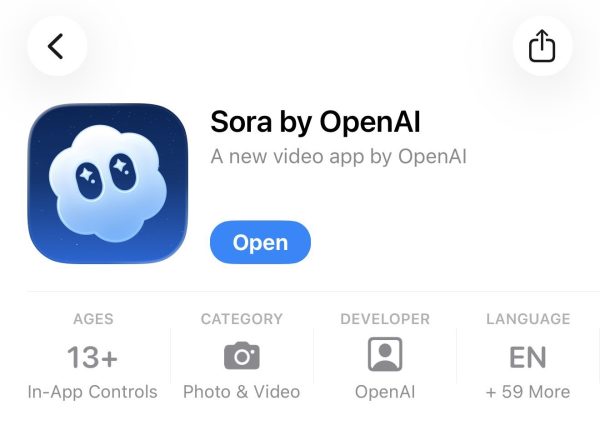 开启 sora 2方法教程  附带40个Sora邀请码 先到先得